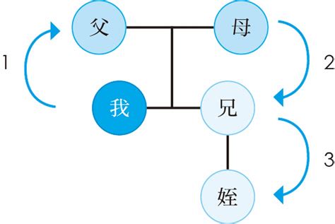 三等親有哪些|一二三四五六親等搞得我頭好亂，血親和姻親到底該怎。